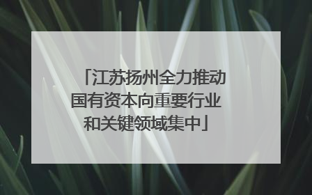 江苏扬州全力推动国有资本向重要行业和关键领域集中