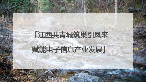 江西共青城筑巢引凤来 赋能电子信息产业发展