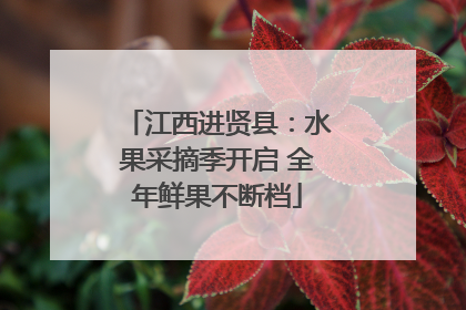 江西进贤县：水果采摘季开启 全年鲜果不断档