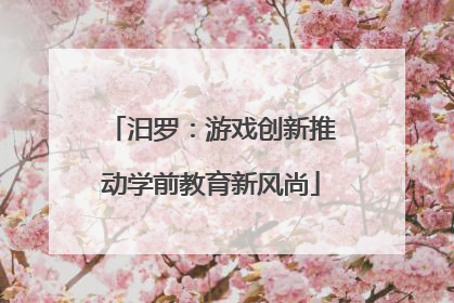 汨罗：游戏创新推动学前教育新风尚