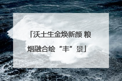 沃土生金焕新颜 粮烟融合绘“丰”景