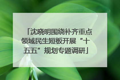 沈晓明围绕补齐重点领域民生短板开展“十五五”规划专题调研