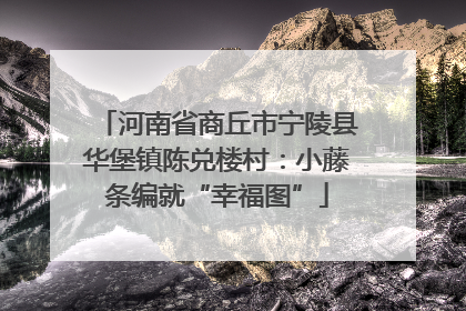 河南省商丘市宁陵县华堡镇陈兑楼村：小藤条编就“幸福图”