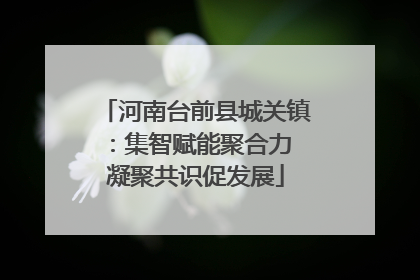 河南台前县城关镇：集智赋能聚合力 凝聚共识促发展
