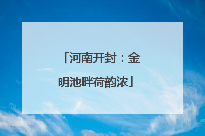 河南开封：金明池畔荷韵浓