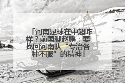 河南足球在中超咋样？前国脚赵鹏：要找回河南队“专治各种不服”的精神