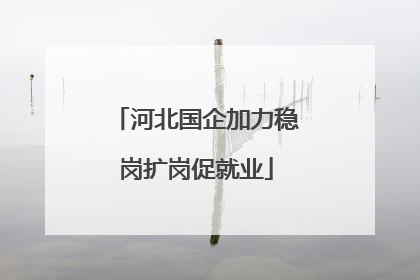 河北国企加力稳岗扩岗促就业