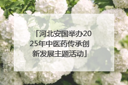 河北安国举办2025年中医药传承创新发展主题活动