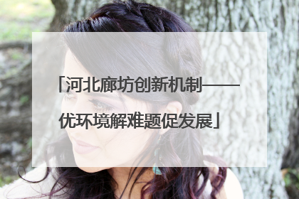 河北廊坊创新机制——优环境解难题促发展