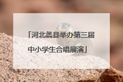 河北蠡县举办第三届中小学生合唱展演