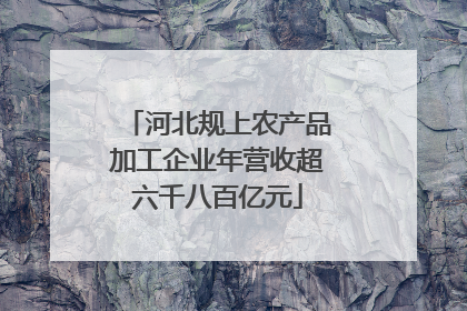 河北规上农产品加工企业年营收超六千八百亿元