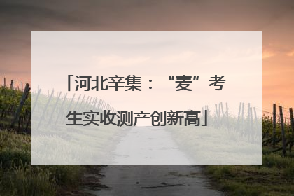 河北辛集：“麦”考生实收测产创新高