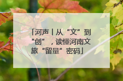 河声丨从“文”到“创”，读懂河南文旅“留量”密码