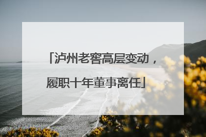 泸州老窖高层变动，履职十年董事离任