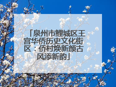 泉州市鲤城区王宫华侨历史文化街区：侨村焕新颜古风添新韵