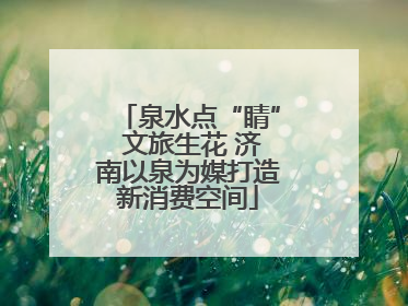 泉水点“睛” 文旅生花 济南以泉为媒打造新消费空间