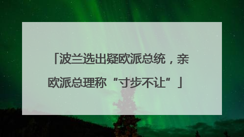 波兰选出疑欧派总统，亲欧派总理称“寸步不让”
