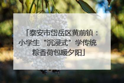 泰安市岱岳区黄前镇：小学生“沉浸式”学传统 粽香荷包暖夕阳
