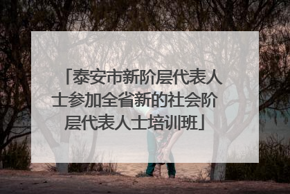 泰安市新阶层代表人士参加全省新的社会阶层代表人士培训班