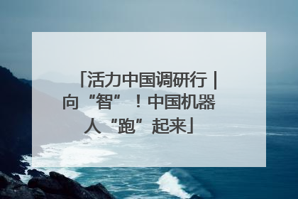 活力中国调研行｜向“智”！中国机器人“跑”起来