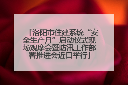 洛阳市住建系统“安全生产月”启动仪式现场观摩会暨防汛工作部署推进会近日举行