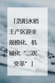 洛阳水稻主产区迎来规模化、机械化“二次变革”