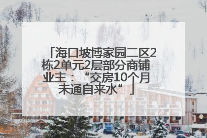 海口坡博家园二区2栋2单元2层部分商铺业主：“交房10个月未通自来水”