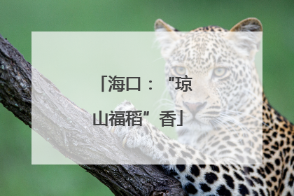 海口：“琼山福稻”香