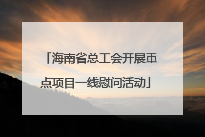 海南省总工会开展重点项目一线慰问活动