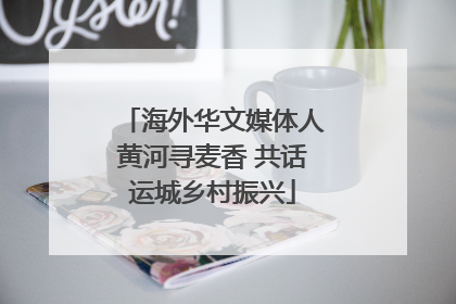 海外华文媒体人黄河寻麦香 共话运城乡村振兴