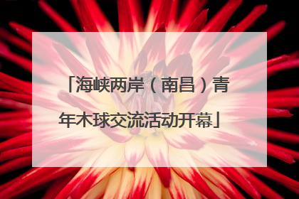 海峡两岸（南昌）青年木球交流活动开幕
