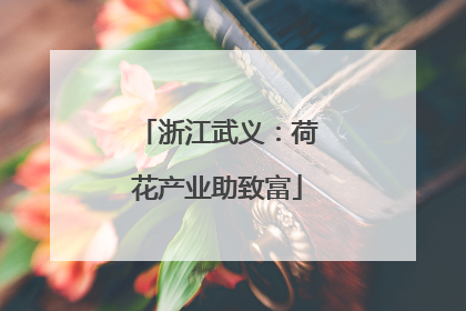 浙江武义：荷花产业助致富