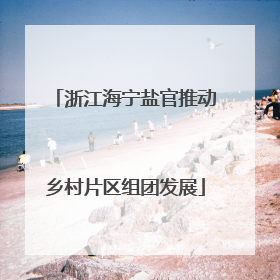 浙江海宁盐官推动乡村片区组团发展