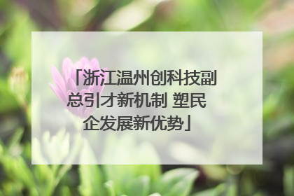 浙江温州创科技副总引才新机制 塑民企发展新优势