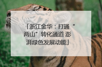浙江金华：打通“两山”转化通道 澎湃绿色发展动能
