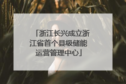 浙江长兴成立浙江省首个县级储能运营管理中心