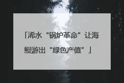 浠水“锅炉革命”让海鳗游出“绿色产值”