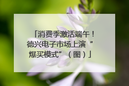 消费季激活端午！德兴电子市场上演“爆买模式”（图）