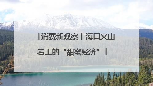 消费新观察丨海口火山岩上的“甜蜜经济”