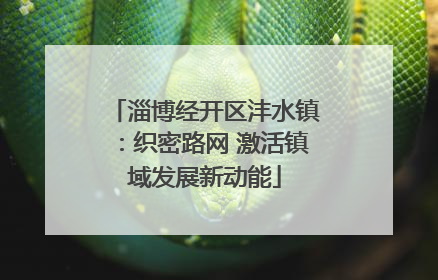 淄博经开区沣水镇：织密路网 激活镇域发展新动能