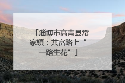 淄博市高青县常家镇：共富路上“一路生花”