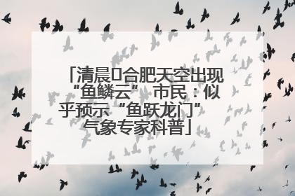 清晨﻿合肥天空出现“鱼鳞云” 市民：似乎预示“鱼跃龙门” 气象专家科普