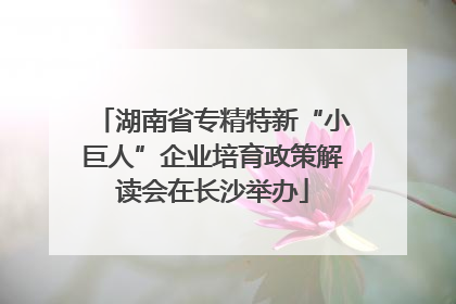 湖南省专精特新“小巨人”企业培育政策解读会在长沙举办