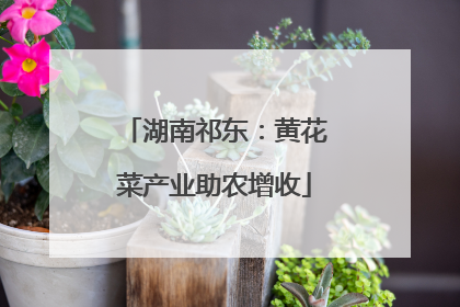 湖南祁东：黄花菜产业助农增收