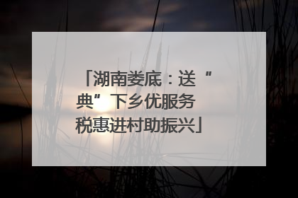 湖南娄底：送“典”下乡优服务 税惠进村助振兴
