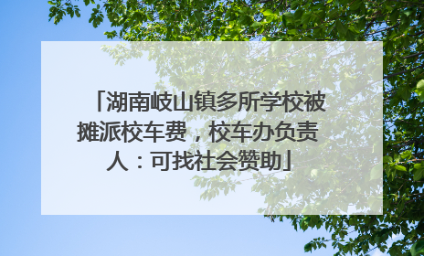 湖南岐山镇多所学校被摊派校车费，校车办负责人：可找社会赞助
