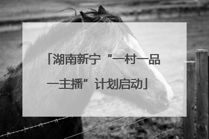 湖南新宁“一村一品一主播”计划启动