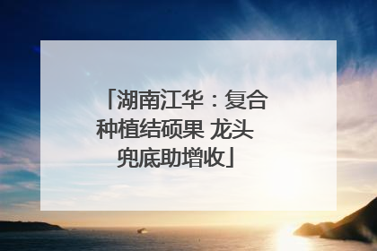 湖南江华：复合种植结硕果 龙头兜底助增收