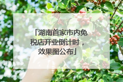 湖南首家市内免税店开业倒计时，效果图公布
