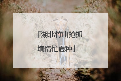 湖北竹山抢抓墒情忙夏种
